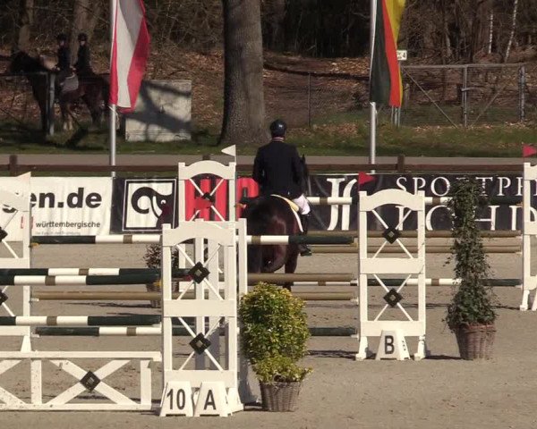 FEI Reitturnier Westergellersen (GER) 2022