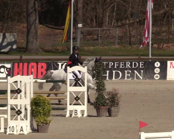 FEI Reitturnier Westergellersen (GER) 2022