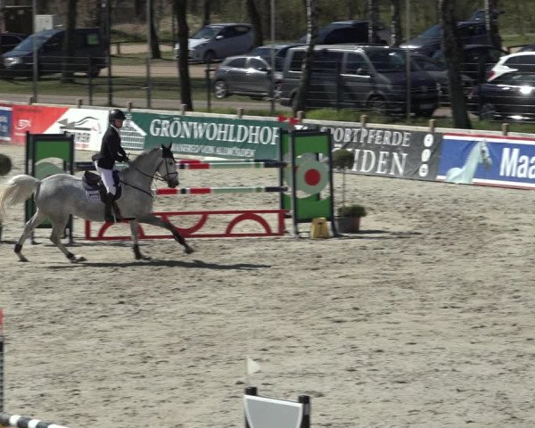 FEI Reitturnier Westergellersen (GER) 2022