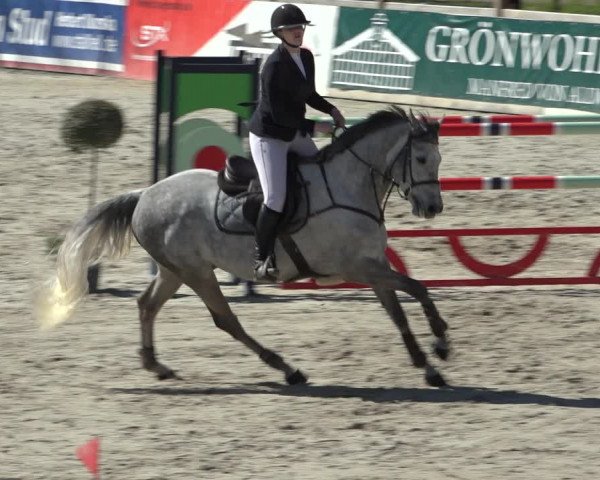 FEI Reitturnier Westergellersen (GER) 2022