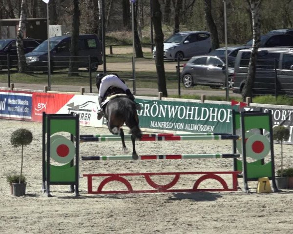 FEI Reitturnier Westergellersen (GER) 2022