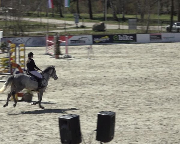 FEI Reitturnier Westergellersen (GER) 2022