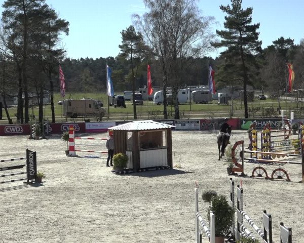 FEI Reitturnier Westergellersen (GER) 2022