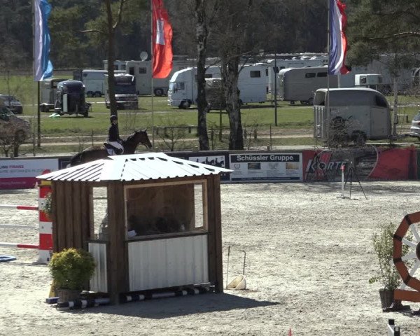 FEI Reitturnier Westergellersen (GER) 2022