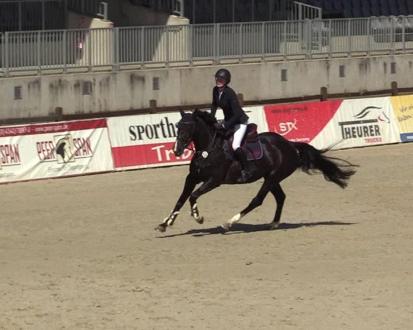 FEI Reitturnier Westergellersen (GER) 2022