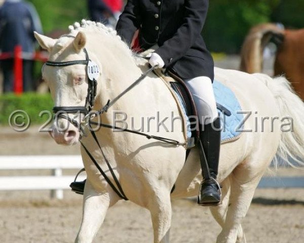 Pferd Flipper 109 (unbekannt,  )