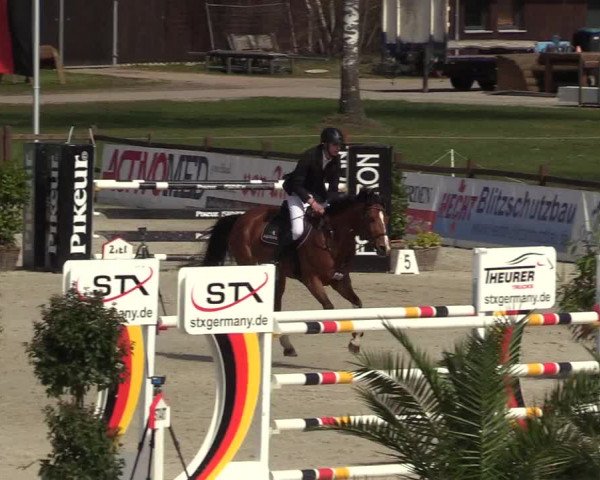 FEI Reitturnier Westergellersen (GER) 2022