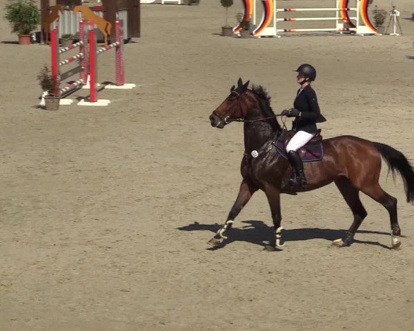 FEI Reitturnier Westergellersen (GER) 2022