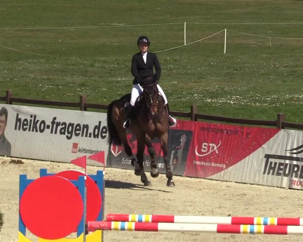 FEI Reitturnier Westergellersen (GER) 2022