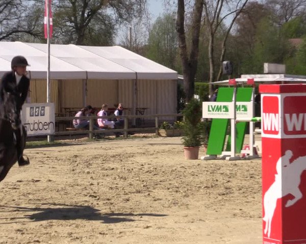 Reitturnier Münster-Handorf | Champs of Tomorrow 2022