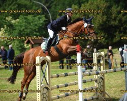 broodmare Sinaeminka (KWPN (Royal Dutch Sporthorse), 1999, from Narcos II)