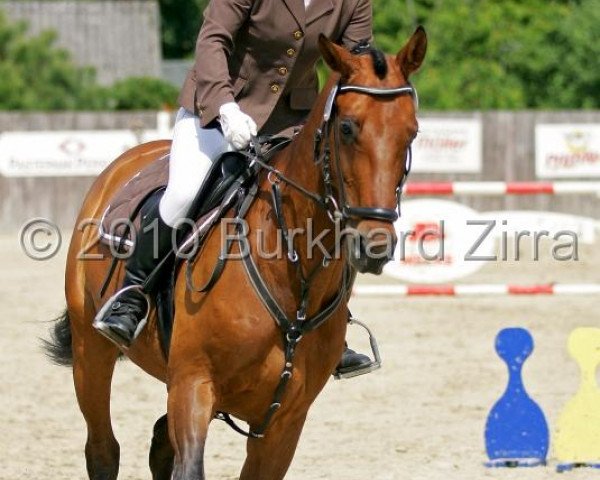 jumper Funkenzauber (Westphalian, 1997, from Funke)
