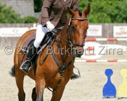 jumper Funkenzauber (Westphalian, 1997, from Funke)