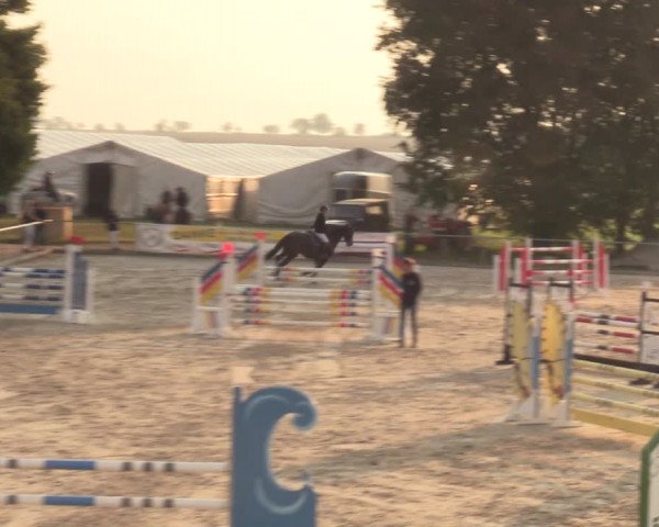 Springreitturnier Hohburg 2021