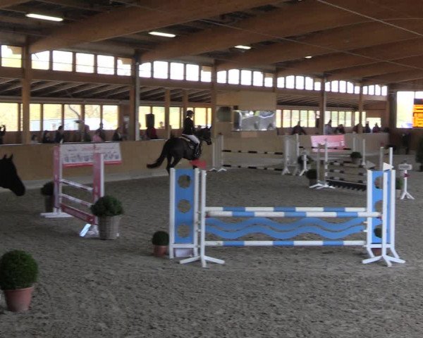 7. Fleesensee Classic´s 2022 - Finale