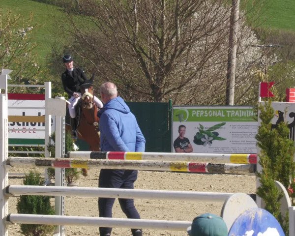 Reitturnier Lindlar-Süttenbach 2022