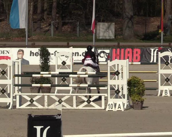 FEI Reitturnier Westergellersen (GER) 2022
