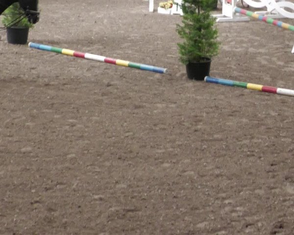 Reitturnier Waghäusel-Wiesental 2022