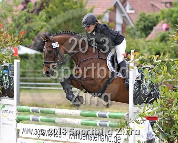 jumper Hermine (Hanoverian, 2000, from Heraldik xx)