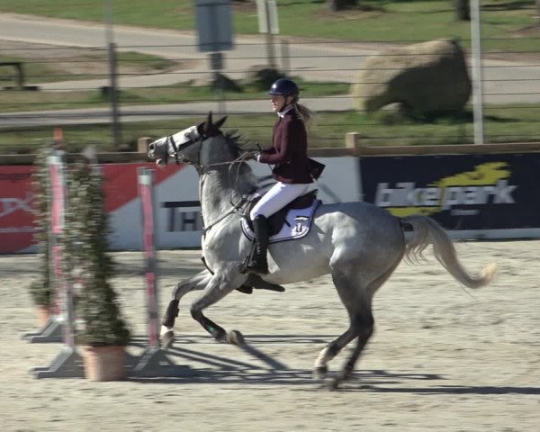 FEI Reitturnier Westergellersen (GER) 2022
