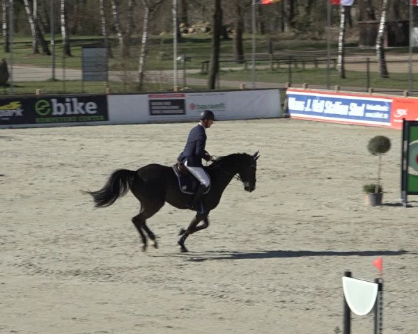 FEI Reitturnier Westergellersen (GER) 2022
