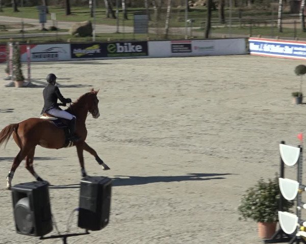 FEI Reitturnier Westergellersen (GER) 2022