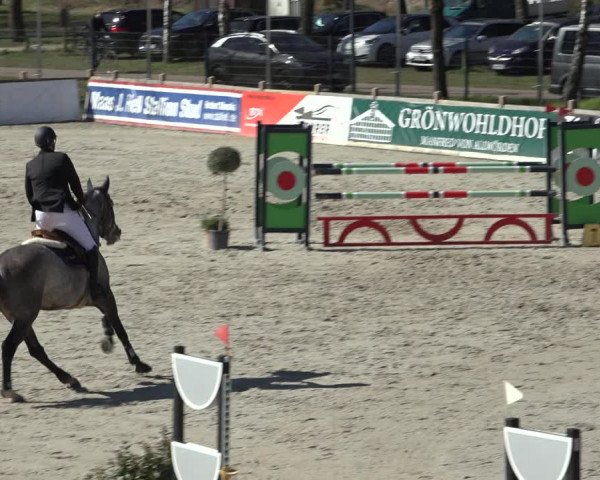 FEI Reitturnier Westergellersen (GER) 2022