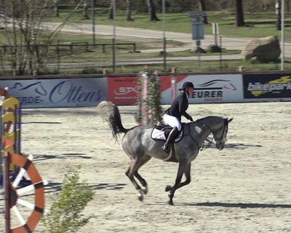 FEI Reitturnier Westergellersen (GER) 2022