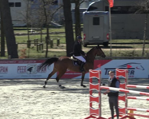 FEI Reitturnier Westergellersen (GER) 2022
