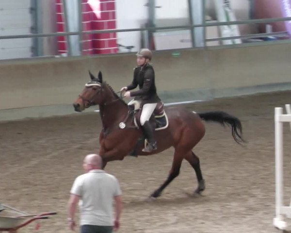 Reitturnier Waghäusel-Wiesental 2022