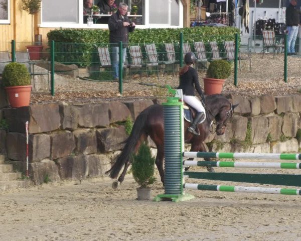 Reitturnier Lindlar-Süttenbach 2022