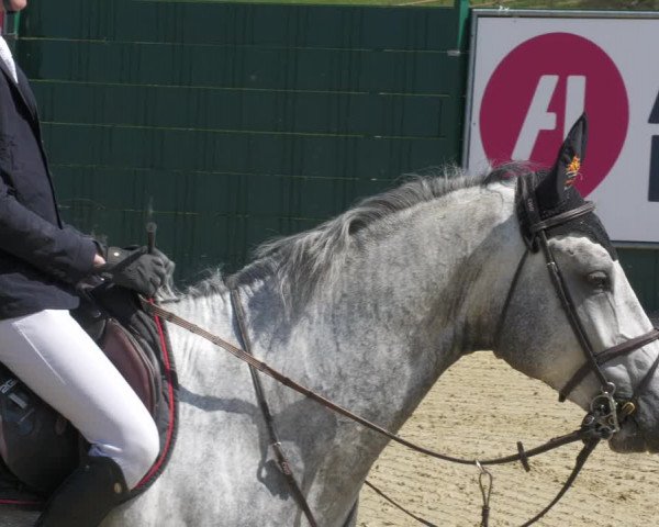 Reitturnier Lindlar-Süttenbach 2022