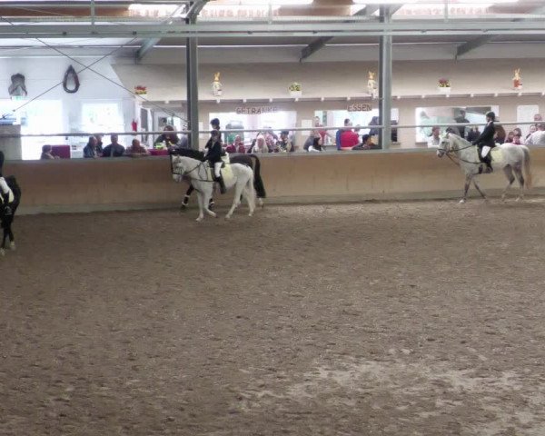 Reitturnier Waghäusel-Wiesental 2022