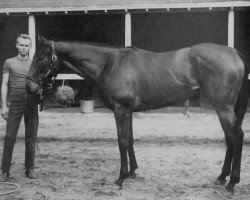 broodmare Lady Be Good xx (Thoroughbred, 1956, from Better Self xx)