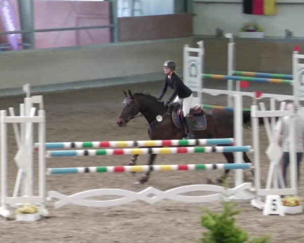 Reitturnier Waghäusel-Wiesental 2022