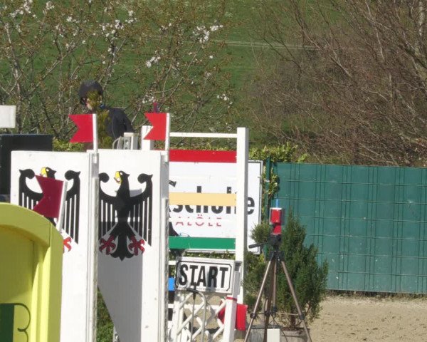 Reitturnier Lindlar-Süttenbach 2022