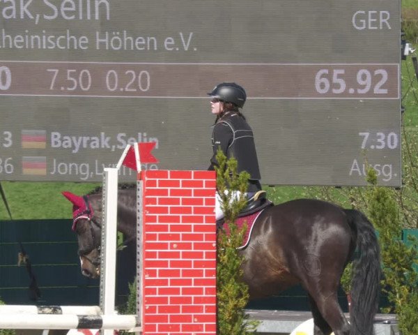 Reitturnier Lindlar-Süttenbach 2022