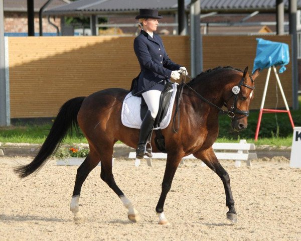 Dressurpferd Valido's princess of butterflies (Deutsches Reitpony, 2002, von Valido)