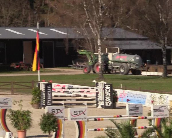 FEI Reitturnier Westergellersen (GER) 2022