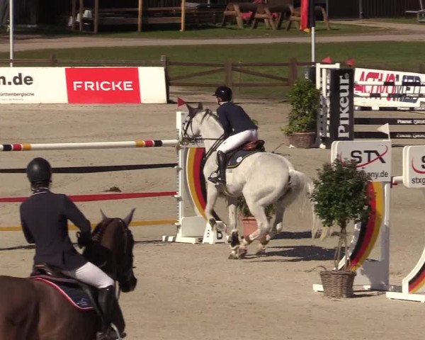 FEI Reitturnier Westergellersen (GER) 2022