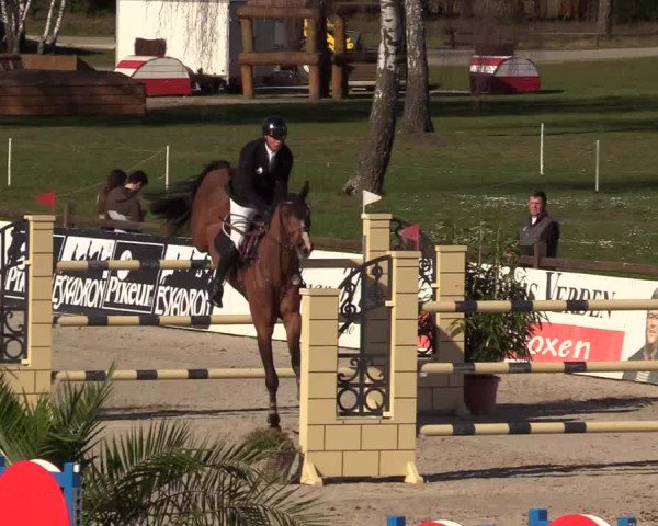 FEI Reitturnier Westergellersen (GER) 2022