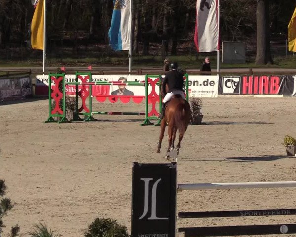 FEI Reitturnier Westergellersen (GER) 2022
