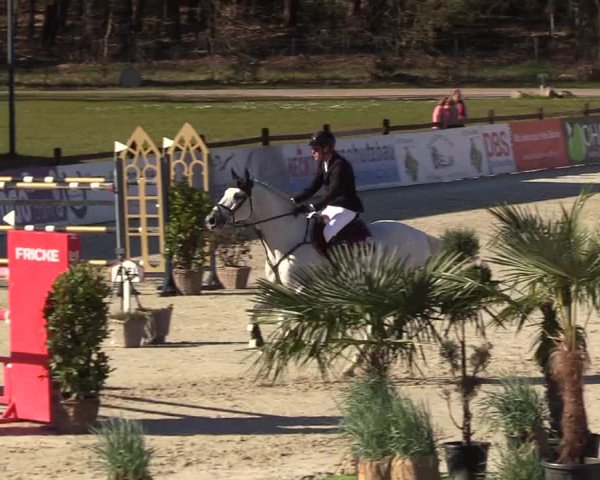 FEI Reitturnier Westergellersen (GER) 2022
