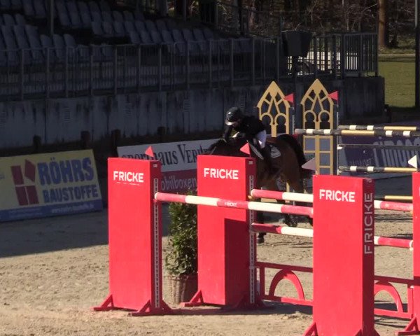 FEI Reitturnier Westergellersen (GER) 2022