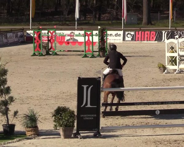 FEI Reitturnier Westergellersen (GER) 2022