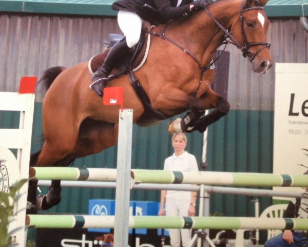 broodmare Syriana 3 (Rhinelander, 2008, from Stenograph)