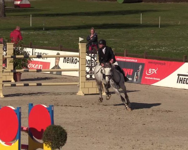 FEI Reitturnier Westergellersen (GER) 2022