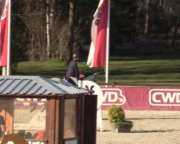 FEI Reitturnier Westergellersen (GER) 2022
