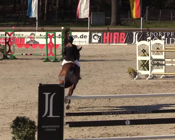 FEI Reitturnier Westergellersen (GER) 2022