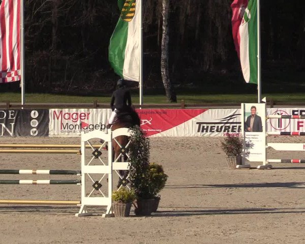 FEI Reitturnier Westergellersen (GER) 2022